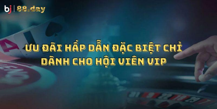 Ưu đãi hấp dẫn đặc biệt chỉ dành cho hội viên VIP Ưu đãi hấp dẫn đặc biệt chỉ dành cho hội viên VIP